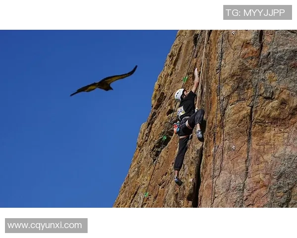 深圳攀岩队耐力对比分析及训练方法探讨